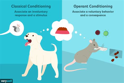 Mar 1, 2021 ... For operant conditioning to work, the subject must first display behavior that can then be either rewarded or punished. Classical conditioning, ...